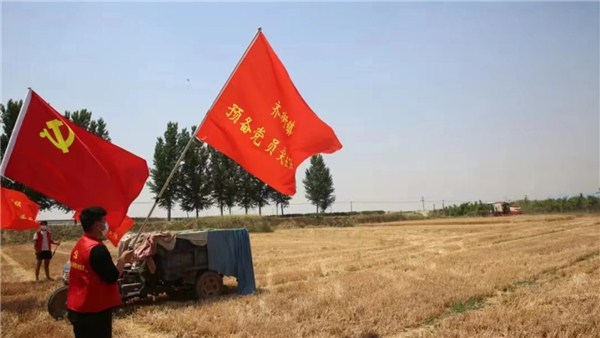  河南麥?zhǔn)招聢D景丨金色麥浪里的一抹紅，原陽600余名黨員